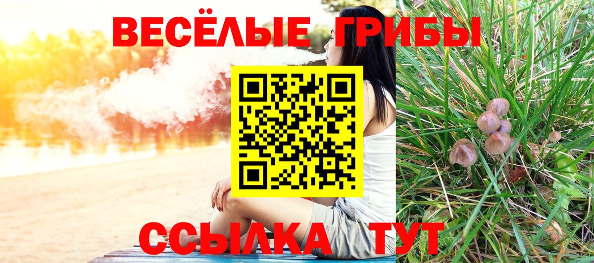 Рыбинск  Псилоцибиновые грибы MAGIC MUSHROOMS  Вход с VPN  Галлюциногенные грибы мухоморы 